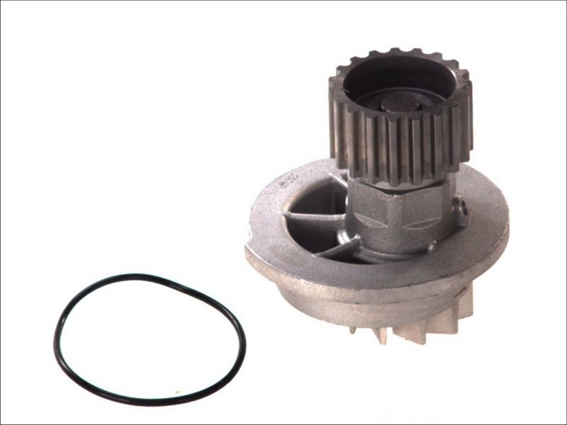 Pompa wody MAGNETI MARELLI 352316170138
