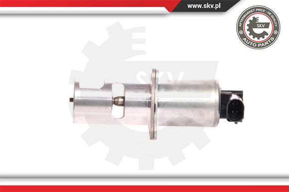 Zawór EGR ESEN SKV 14SKV010