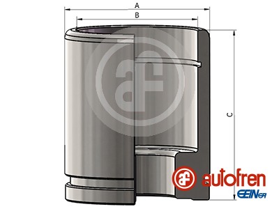 Tłoczek, zacisk hamulca AUTOFREN SEINSA D025888