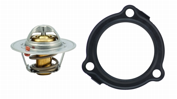 Termostat MEAT & DORIA 92138