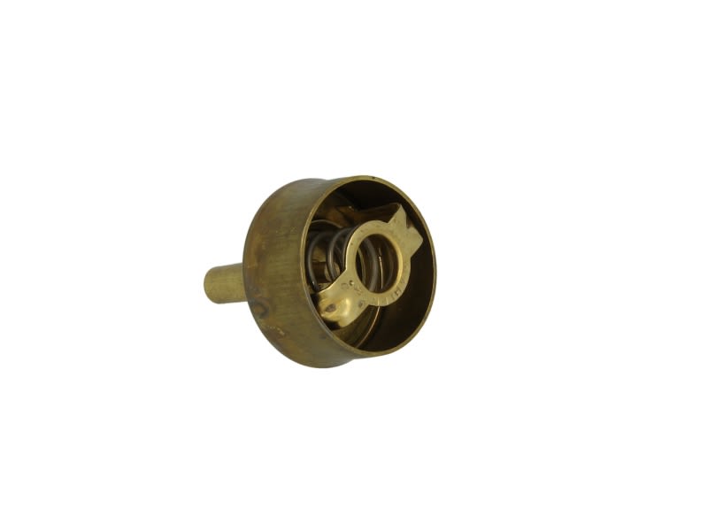 Termostat WAHLER 3029.89