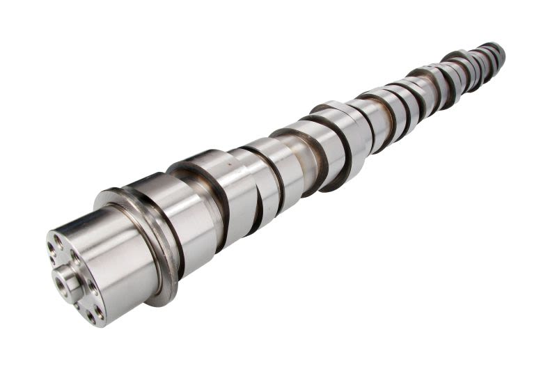 Wałek rozrządu BF 20100413003