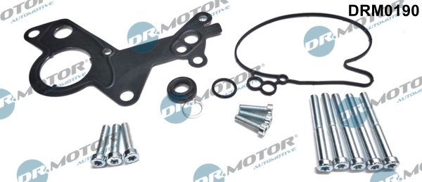 Zestaw naprawczy pompy podciśnienia DR.MOTOR AUTOMOTIVE DRM0190