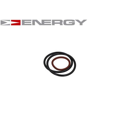 Pompa paliwa ENERGY G10029/1