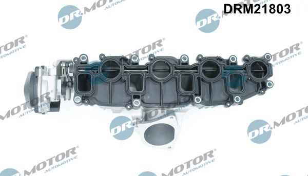 DR.MOTOR AUTOMOTIVE DRM21803