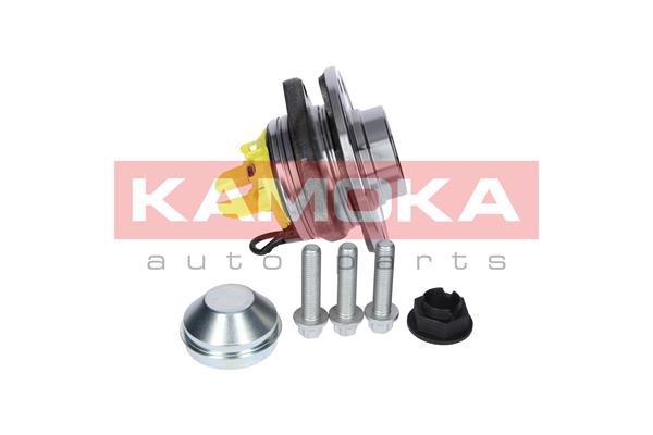 Zestaw łożysk koła KAMOKA 5500149