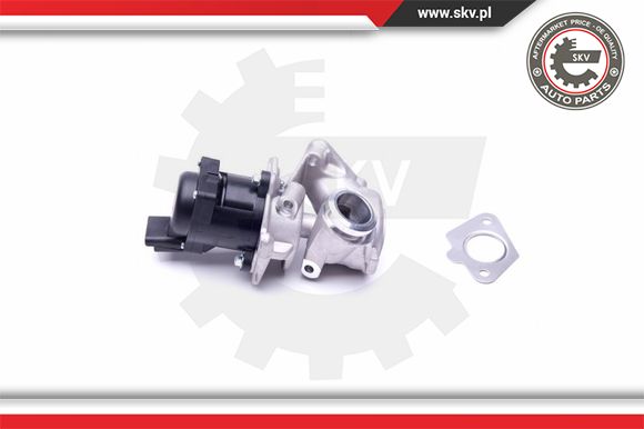 Zawór EGR ESEN SKV 14SKV202