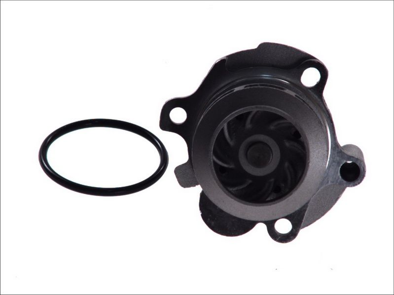 Pompa wody MAGNETI MARELLI 352316171170
