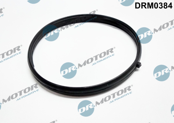 Uszczelka kolektora ssącego DR.MOTOR AUTOMOTIVE DRM0384