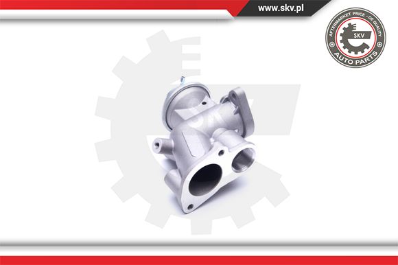 Zawór EGR ESEN SKV 14SKV180