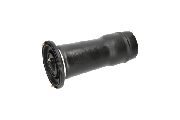 Poduszka powietrzna, zawieszenie KAVO PARTS SAS-10025
