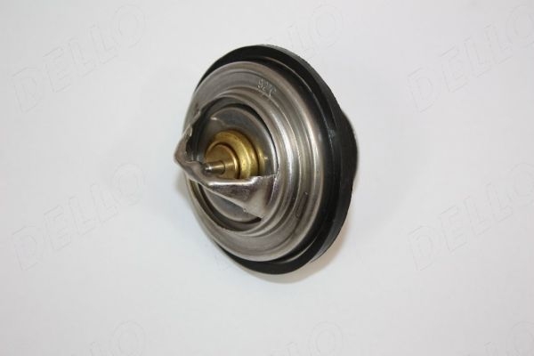 Termostat AUTOMEGA 160047810