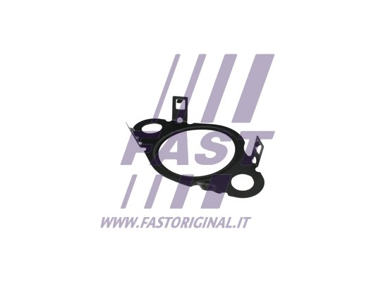 Uszczelnienie zaworu AGR FAST FT50604