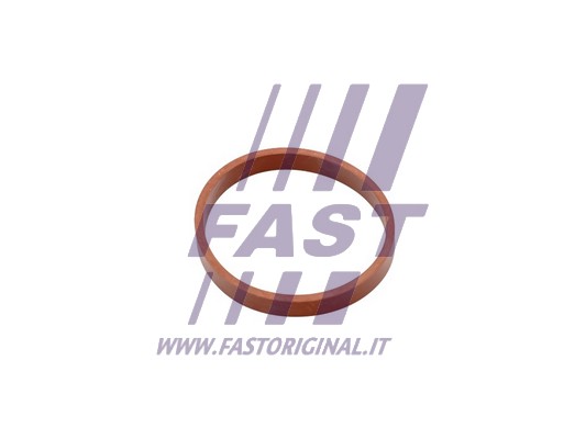 Uszczelka kolektora ssącego FAST FT49418