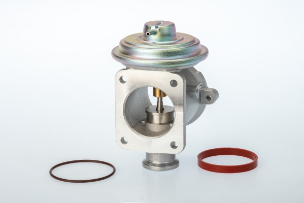 Zawór EGR BORGWARNER (WAHLER) 710924D/1