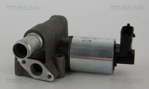 Zawór EGR TRISCAN 8813 24102