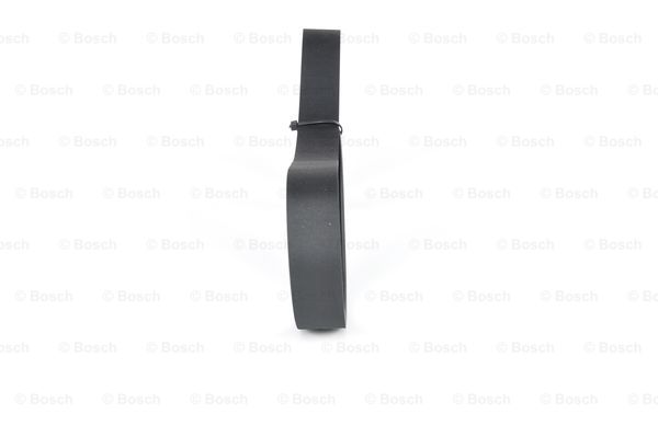 Pasek klinowy wielorowkowy BOSCH 1 987 947 079