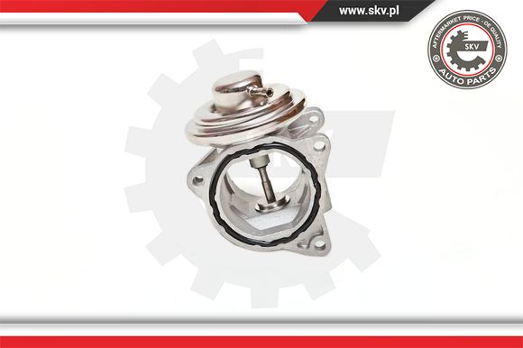 Zawór EGR ESEN SKV 14SKV019