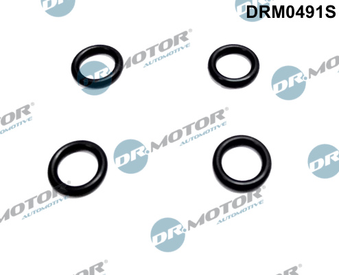 Zestaw pierścieni uszczelniających wtryskiwacz DR.MOTOR AUTOMOTIVE DRM0491S