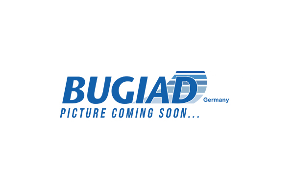 Czop łożyska koła BUGIAD BSP25381