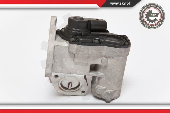 Zawór EGR ESEN SKV 14SKV086