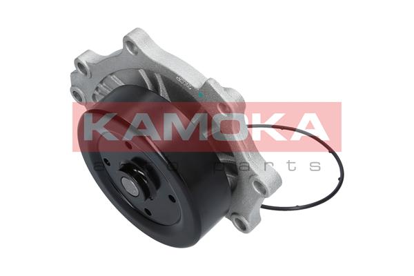 Pompa wody KAMOKA T0176