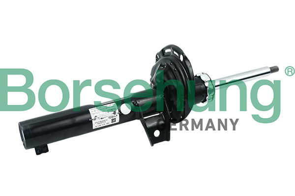 Amortyzator BORSEHUNG B17892