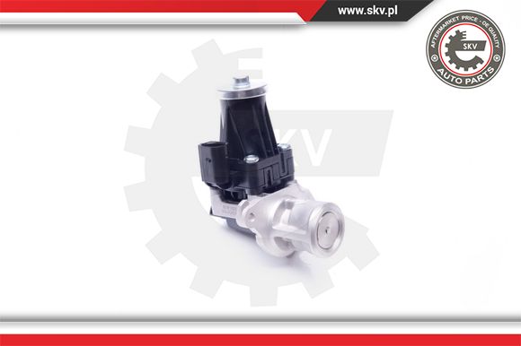 Zawór EGR ESEN SKV 14SKV159