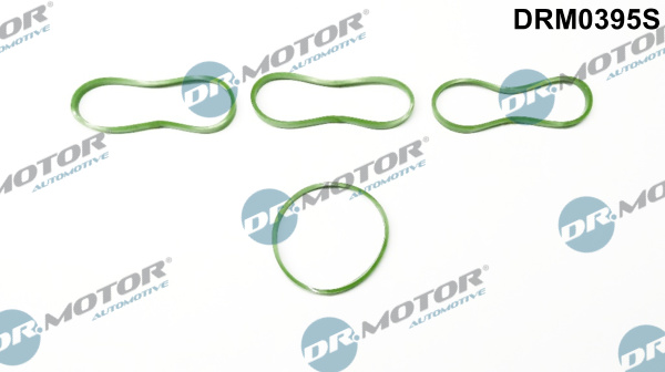 Zestaw uszczelek kolektora ssącego DR.MOTOR AUTOMOTIVE DRM0395S