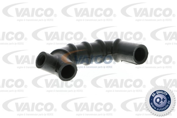 Przewód odmy VAICO V30-0791