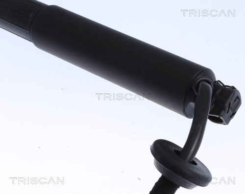 Sprężyna gazowa TRISCAN 8710 27301