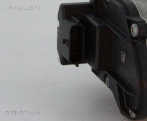 Zawór EGR TRISCAN 8813 24039