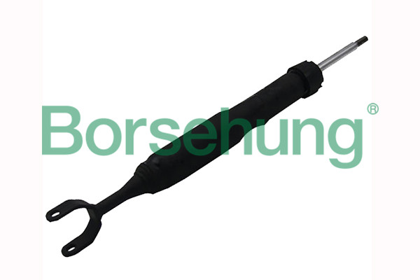 Amortyzator BORSEHUNG B12140