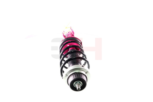 Amortyzator teleskopowy GH GH+351056C02