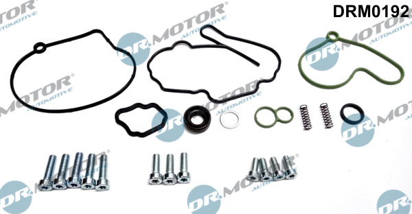 Zestaw naprawczy pompy podciśnienia DR.MOTOR AUTOMOTIVE DRM0192