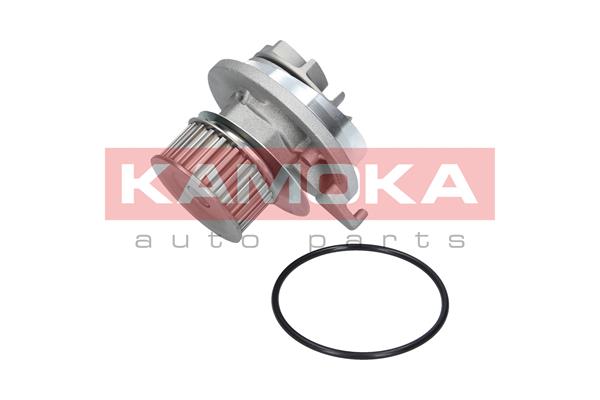 Pompa wody KAMOKA T0228
