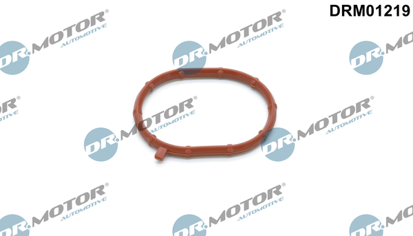 Pierścień uszczelniający, doładowanie DR.MOTOR AUTOMOTIVE DRM01219