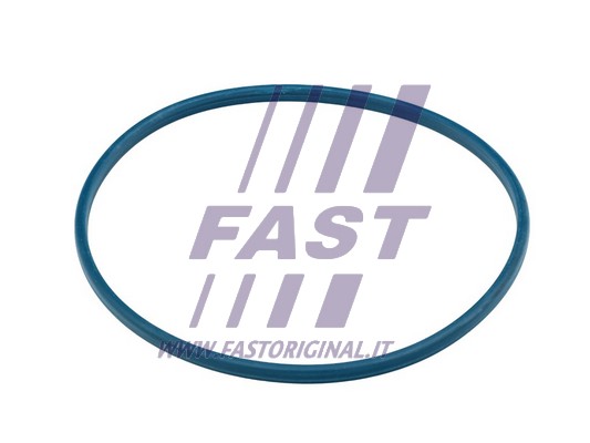 Uszczelka, szyjka wlewu paliwa FAST FT48504