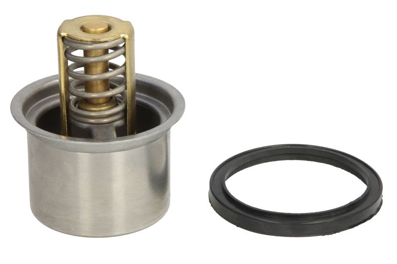 Termostat WAHLER 4619.75