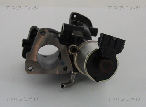 Zawór EGR TRISCAN 8813 24101