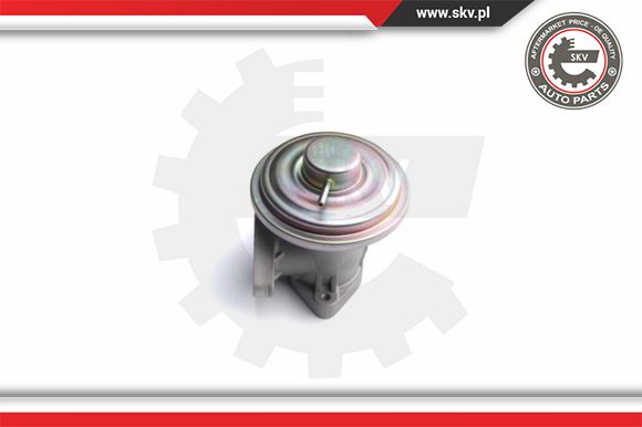 Zawór EGR ESEN SKV 14SKV098