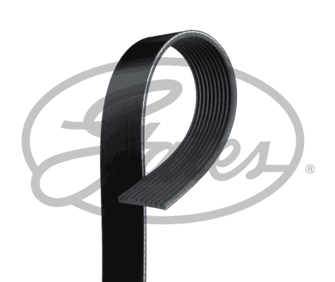 Pasek klinowy wielorowkowy GATES 10PK1570HD