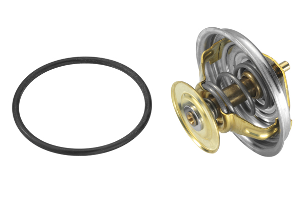 Termostat WAHLER 4049.87D