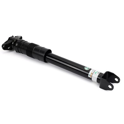 Amortyzator ARNOTT SK-3394