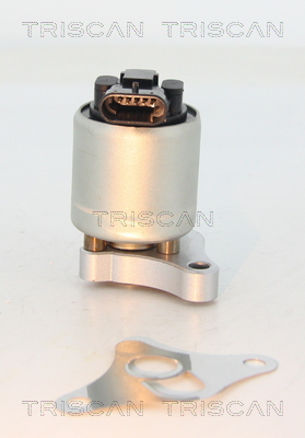 Zawór EGR TRISCAN 8813 24002