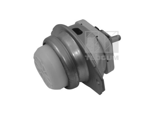 Poduszka silnika TEDGUM TED44341