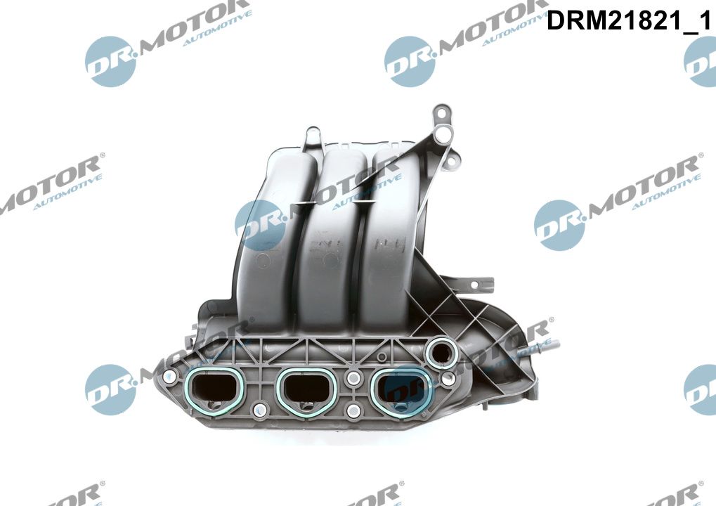 Moduł rury wlotowej DR.MOTOR AUTOMOTIVE DRM21821