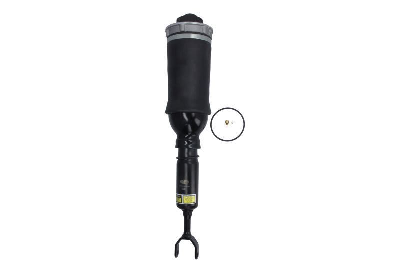 Amortyzator MAGNETI MARELLI 350031000001
