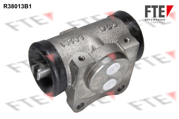 Cylinderek FTE R38013B1