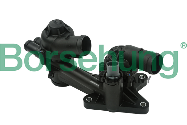 Termostat BORSEHUNG B18723